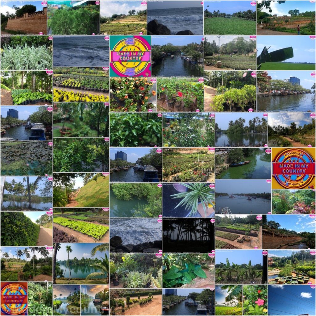 MadeinMycountry India! MadeinMycountry is a global platform that celebrates and supports local history, culture, art and nature conservation efforts.